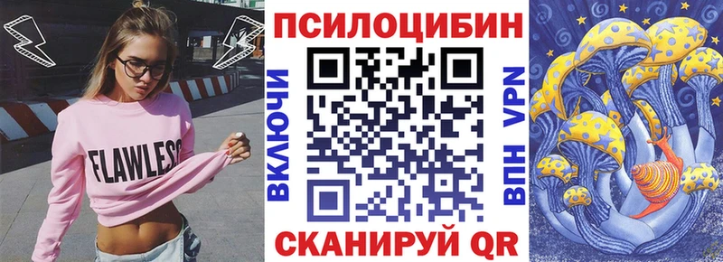 где можно купить наркотик Щёкино Псилоцибиновые грибы прущие грибы