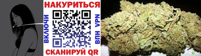 Конопля индика  Щёкино 